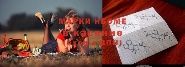 винт Лагань