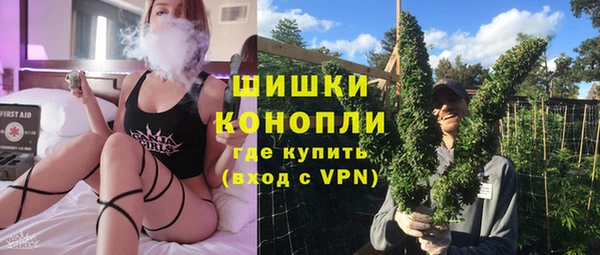 винт Лагань
