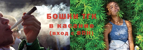 винт Лагань