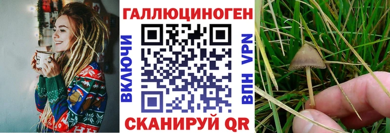 KRAKEN tor  Малоархангельск  Псилоцибиновые грибы мухоморы 