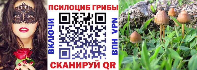 Галлюциногенные грибы мицелий Малоархангельск